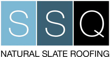 SSQ logo